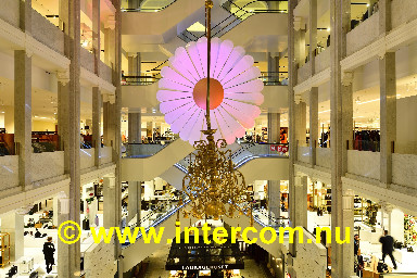 076 Illum _85M1981_3174